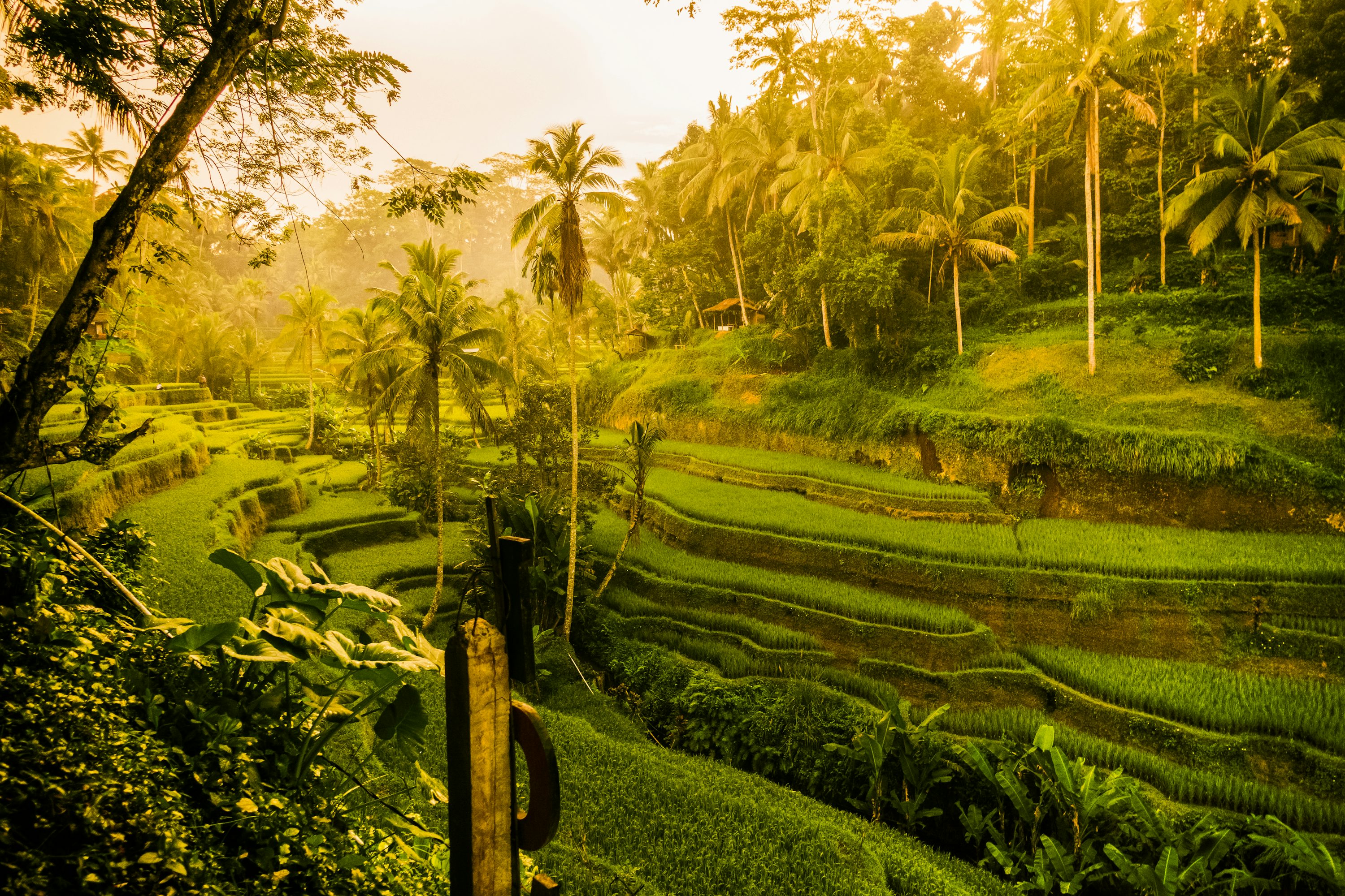Bali Temple
